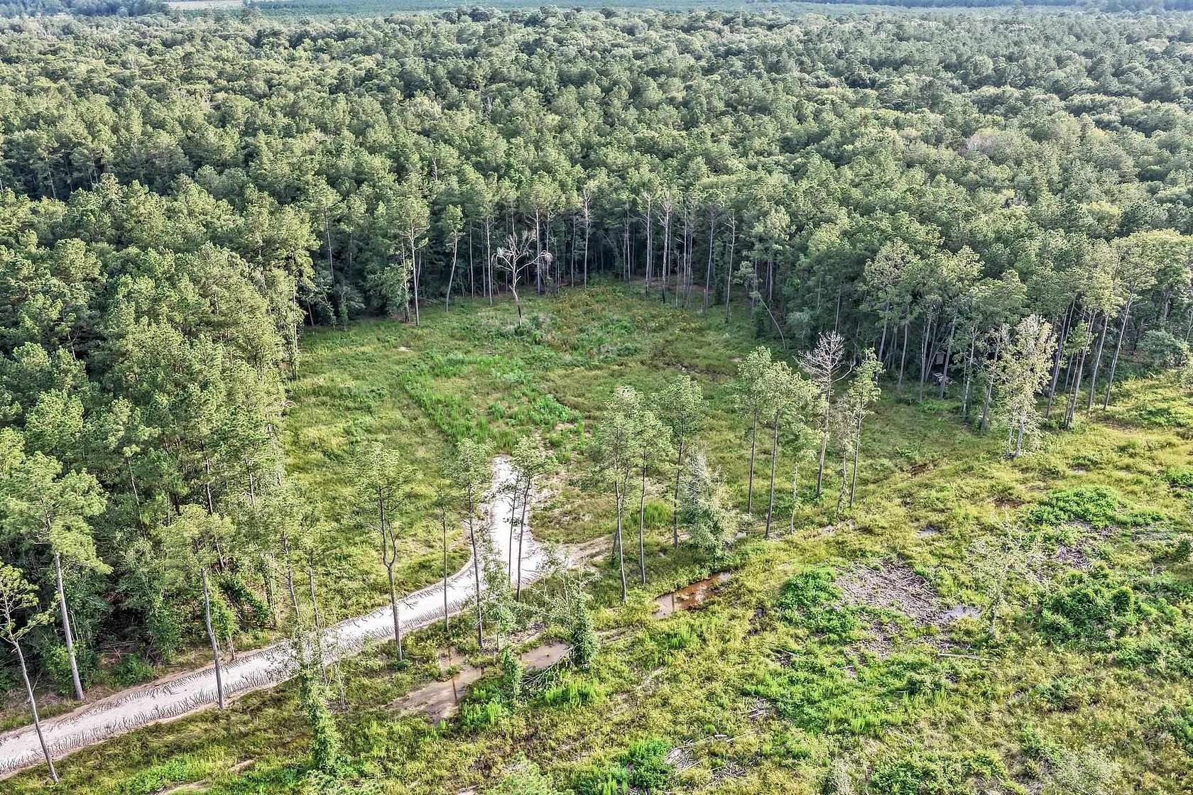 29.8 Acres of Land for Sale in Sour Lake, Texas