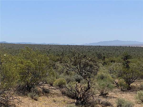 1 Acre of Residential Land for Sale in Meadview, Arizona