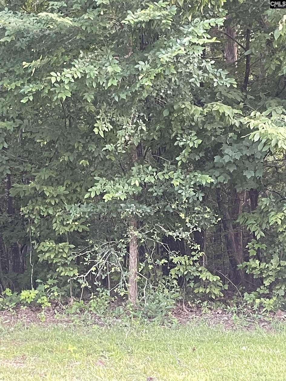 0.94 Acres of Residential Land for Sale in Columbia, South Carolina