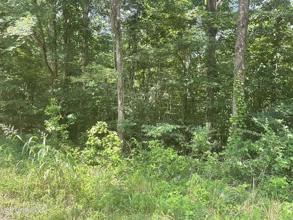 2.1 Acres of Residential Land for Sale in Sarah, Mississippi