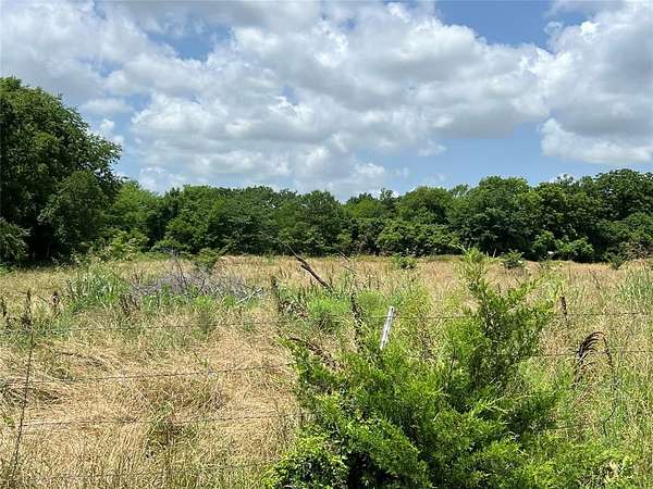 79 Acres of Agricultural Land for Sale in Bonham, Texas