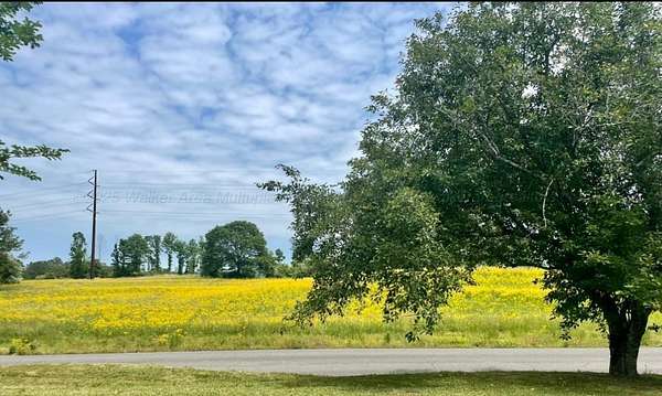 29 Acres of Land for Sale in Jasper, Alabama