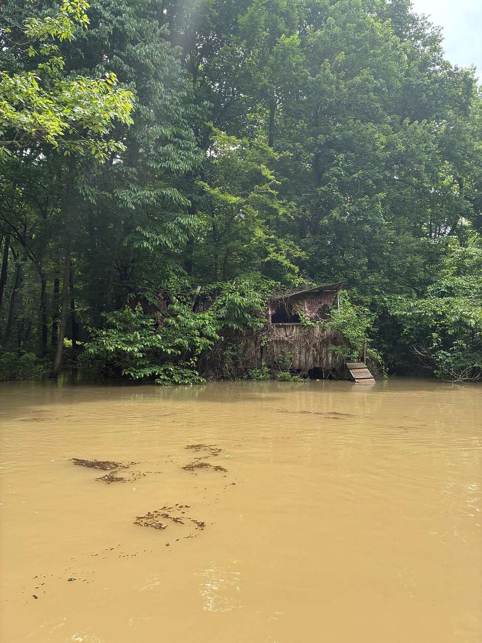 143 Acres of Recreational Land for Sale in Cotton Plant, Arkansas