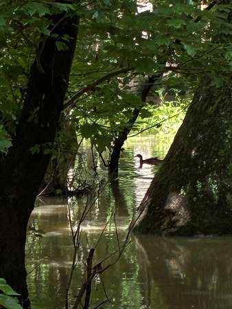 172 Acres of Recreational Land for Sale in Cotton Plant, Arkansas