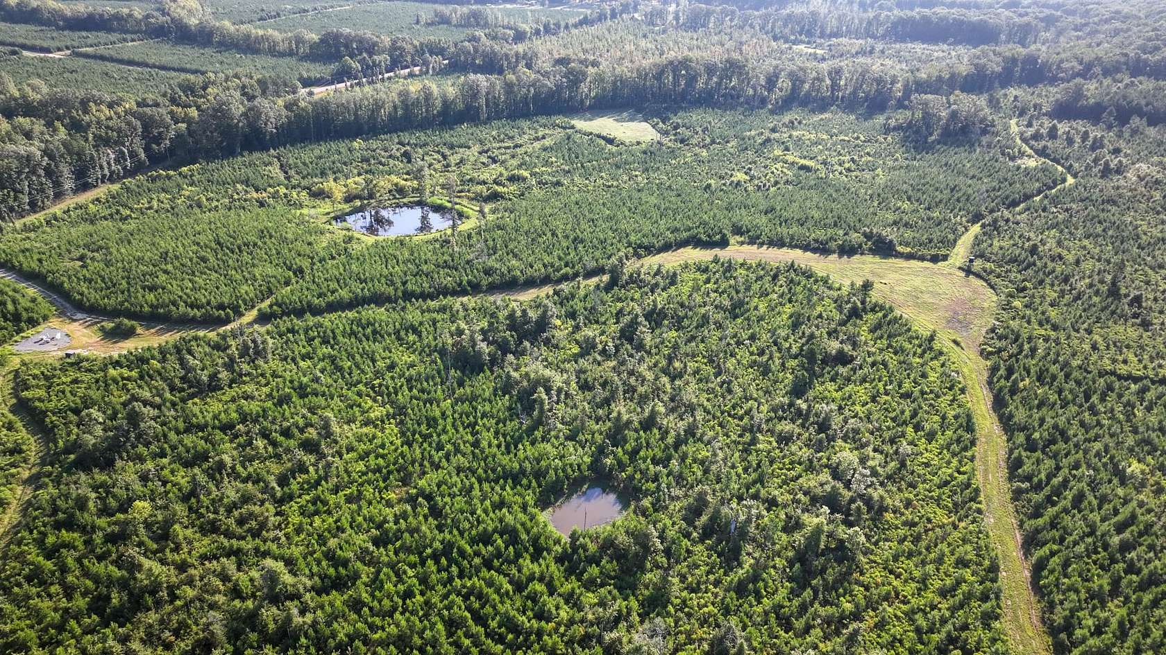 101 Acres of Recreational Land for Sale in Pheba, Mississippi