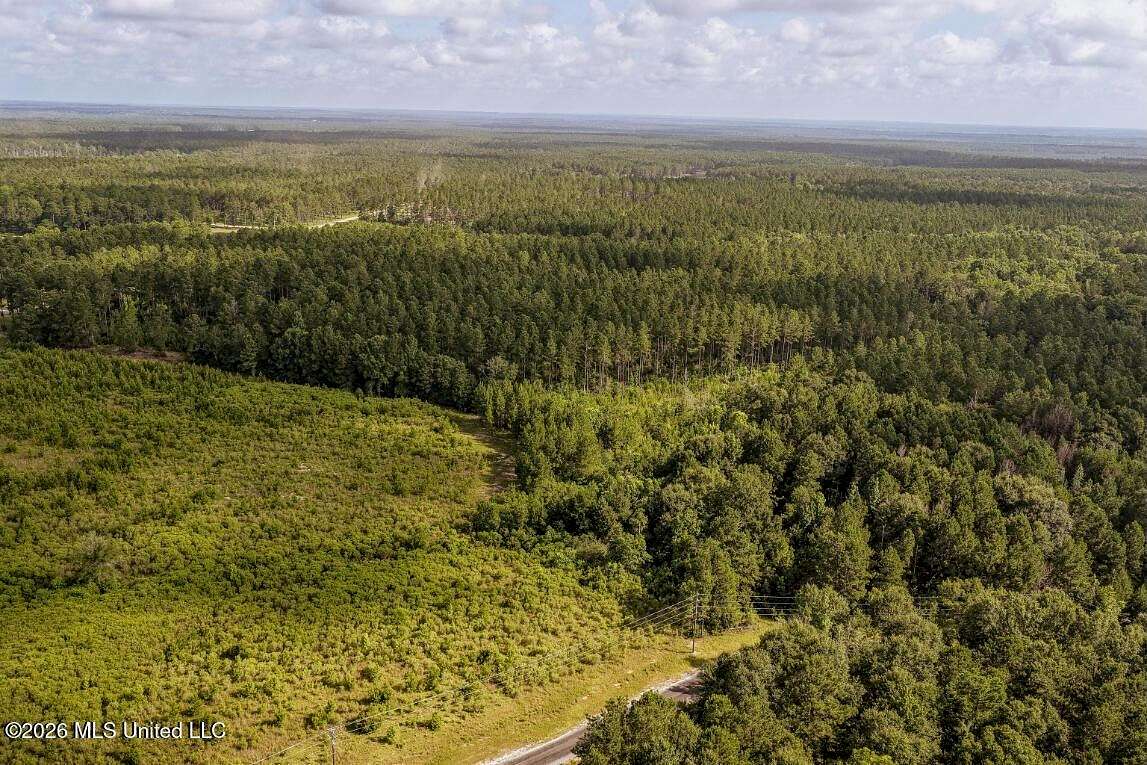 101 Acres of Land for Sale in Hattiesburg, Mississippi