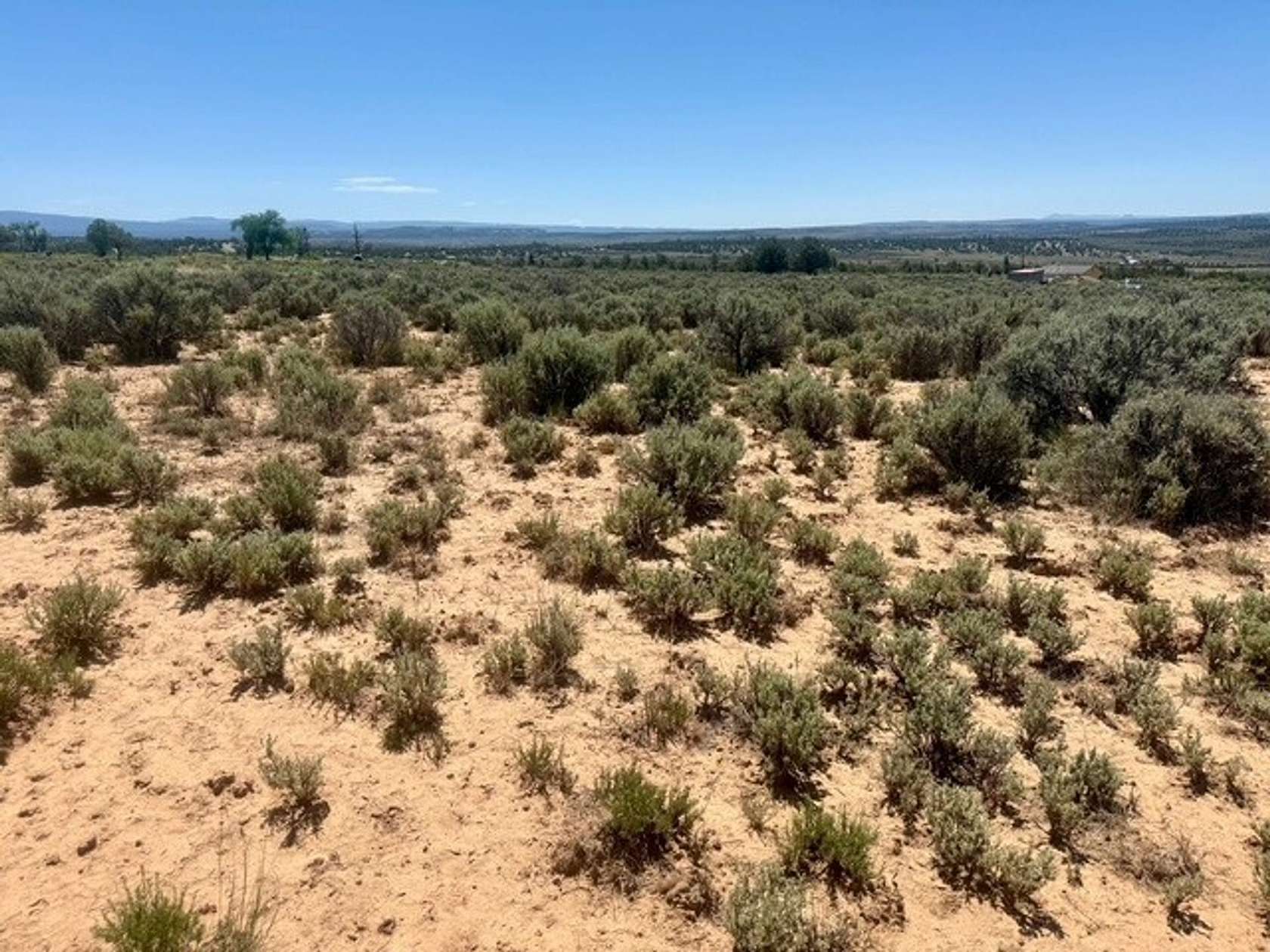 5 Acres of Recreational Land for Sale in Tierra Amarilla, New Mexico