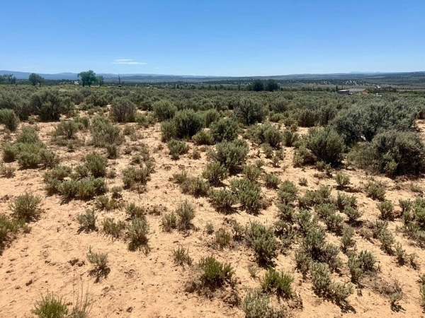 5 Acres of Recreational Land for Sale in Tierra Amarilla, New Mexico