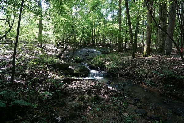 6.83 Acres of Residential Land for Sale in Palmetto, Georgia