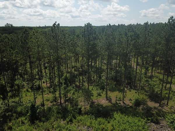 30 Acres of Recreational Land for Sale in Alexander City, Alabama