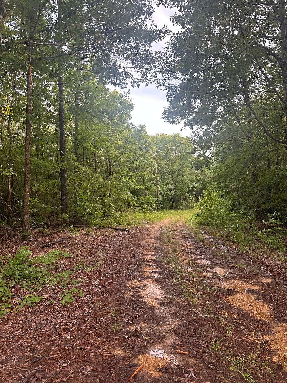 45 Acres of Recreational Land for Sale in Reform, Alabama