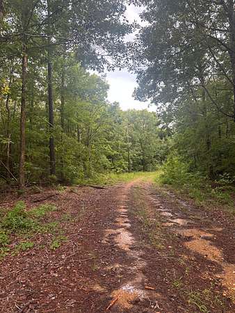 45 Acres of Recreational Land for Sale in Reform, Alabama