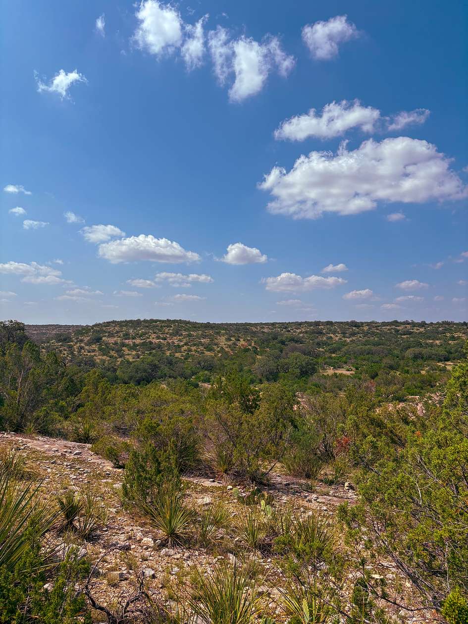 28.2 Acres of Recreational Land & Farm for Sale in Comstock, Texas