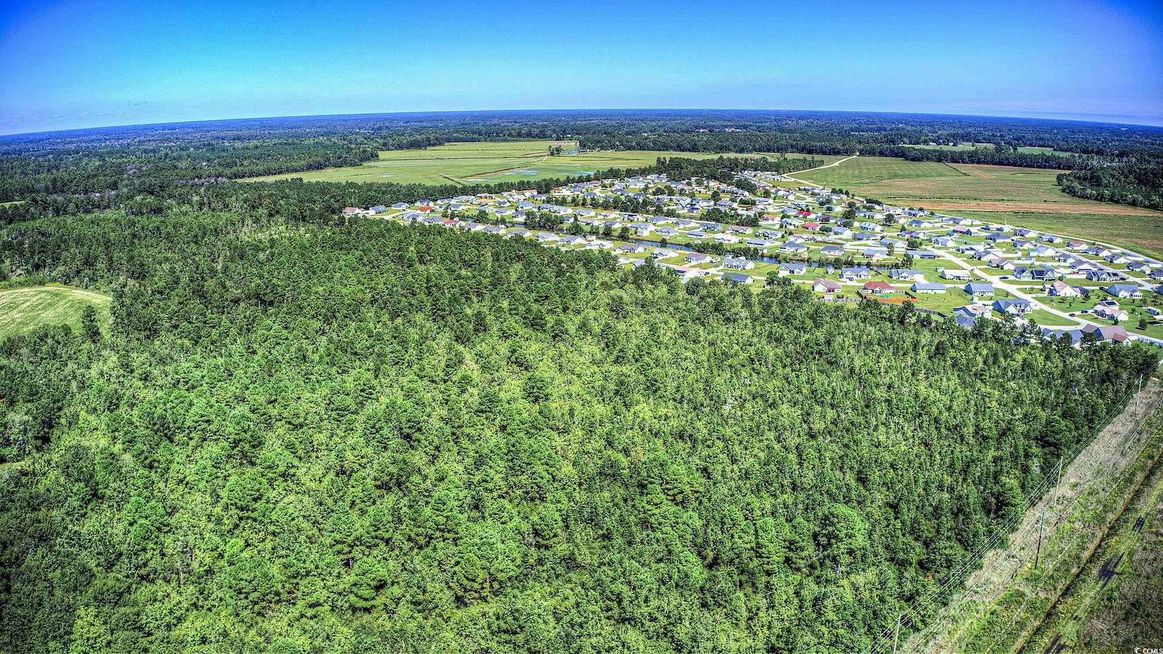 115 Acres of Land for Sale in Loris, South Carolina