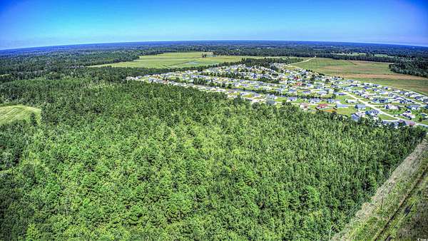 115 Acres of Land for Sale in Loris, South Carolina