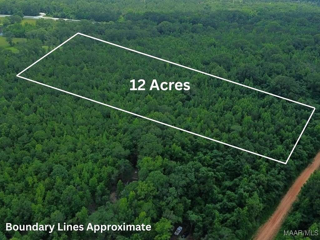 12 Acres of Land for Sale in Tuskegee, Alabama