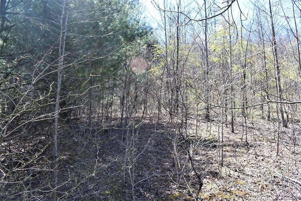 Residential Land for Sale in Beckley, West Virginia