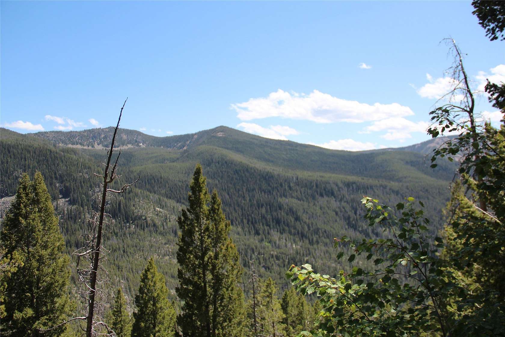 33.4 Acres of Recreational Land for Sale in Philipsburg, Montana