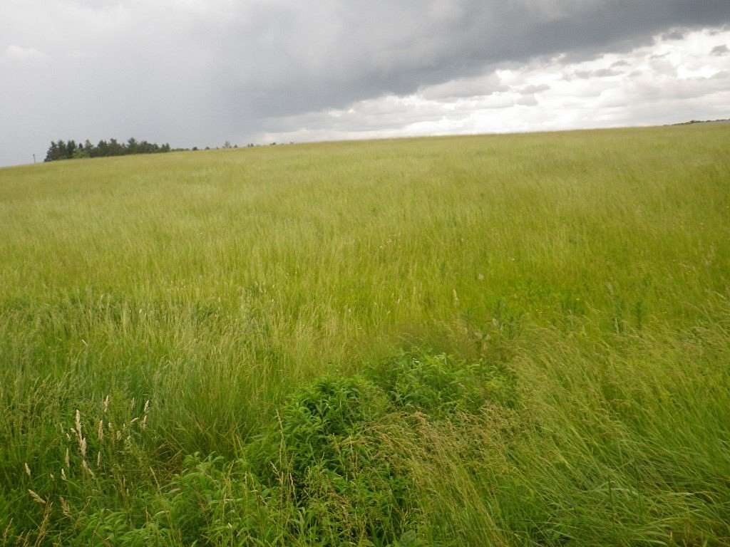 21.1 Acres of Agricultural Land for Sale in Patton, Pennsylvania