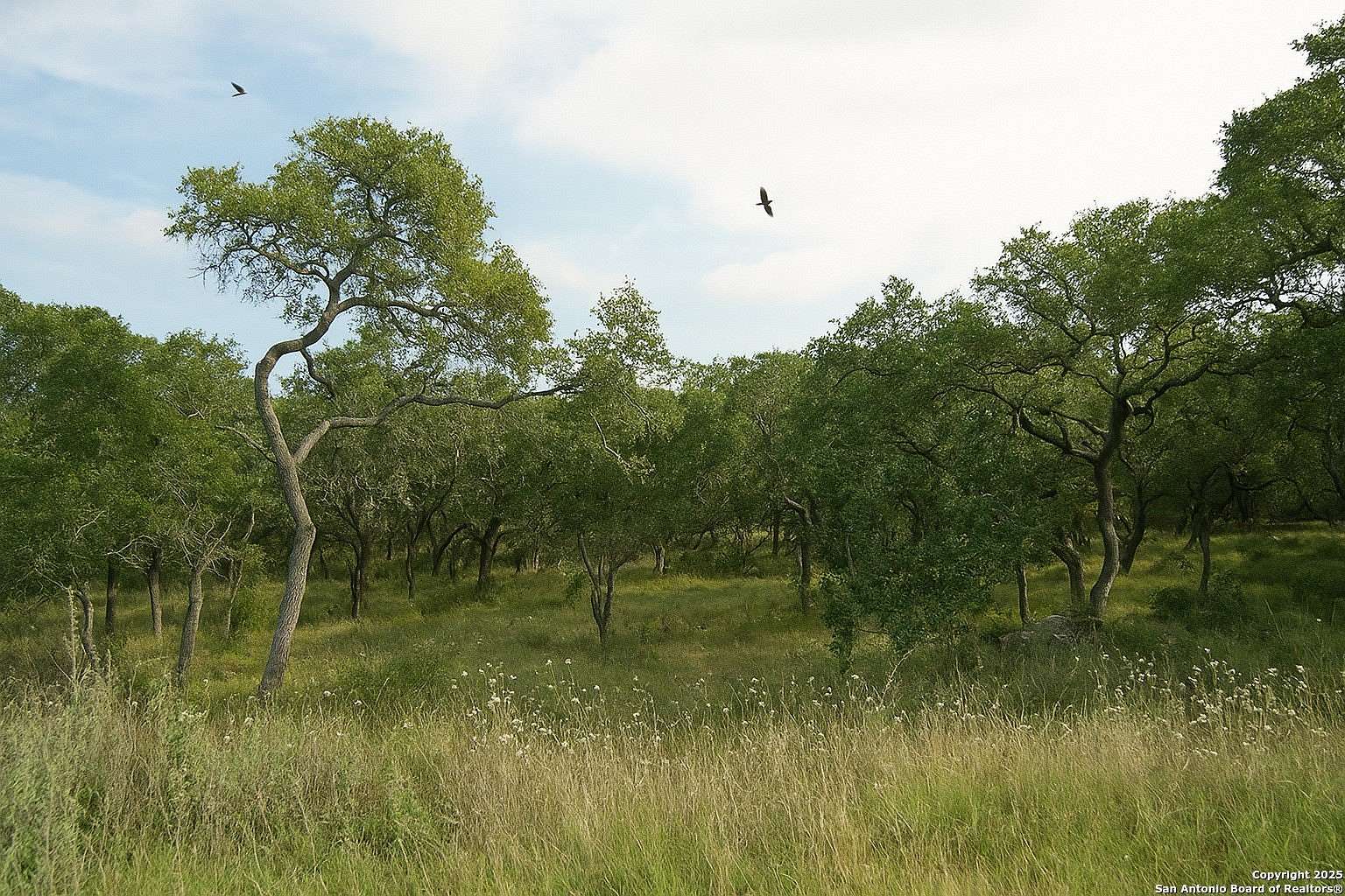 1.57 Acres of Residential Land for Sale in Spring Branch, Texas