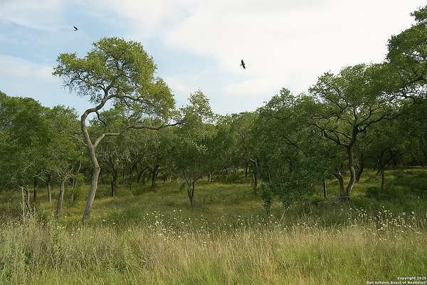 1.57 Acres of Residential Land for Sale in Spring Branch, Texas