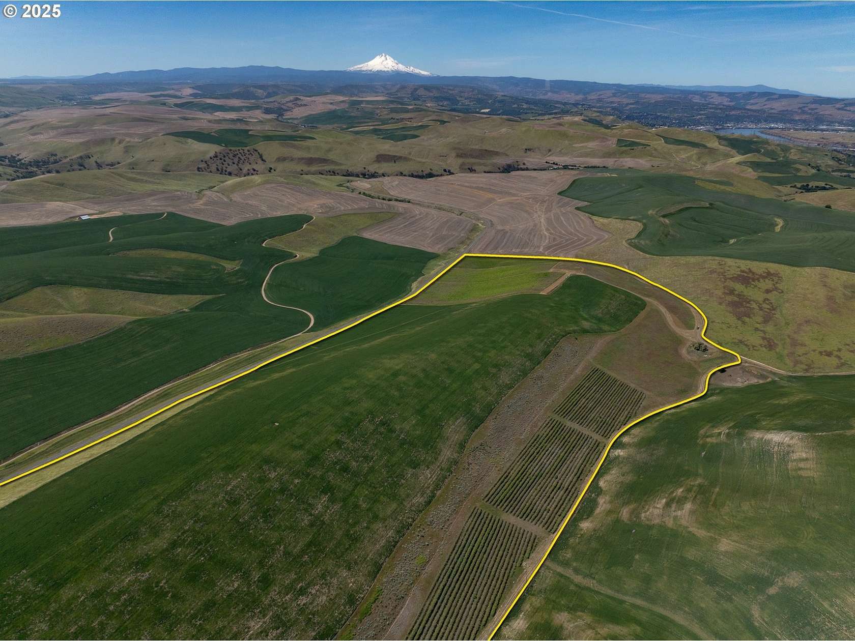 159 Acres of Land for Sale in The Dalles, Oregon