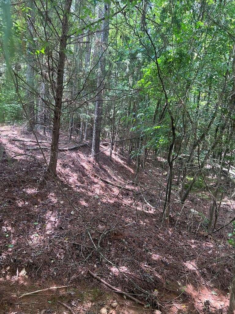 1 Acre of Land for Sale in Upatoi, Georgia