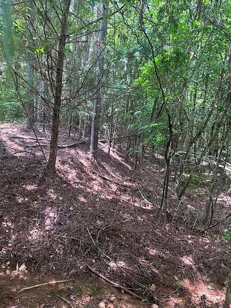 1 Acre of Land for Sale in Upatoi, Georgia