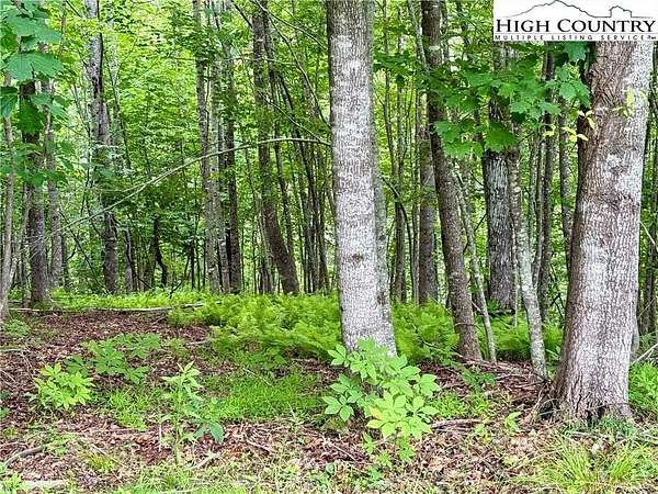 1.56 Acres of Residential Land for Sale in Fleetwood, North Carolina