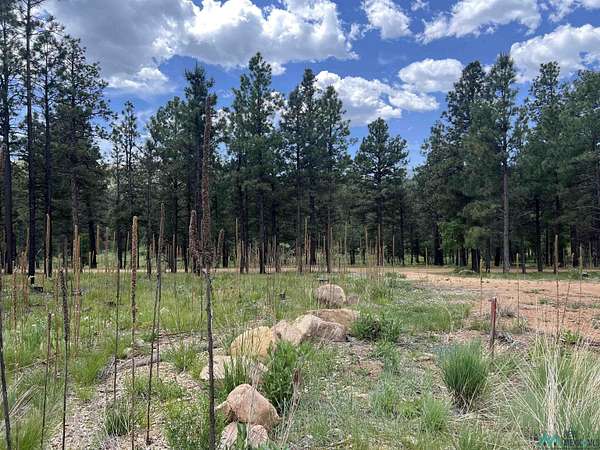 1 Acre of Residential Land for Sale in Rociada, New Mexico