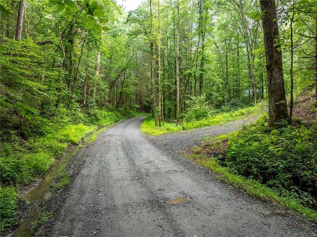 11.3 Acres of Land for Sale in Ellijay, Georgia
