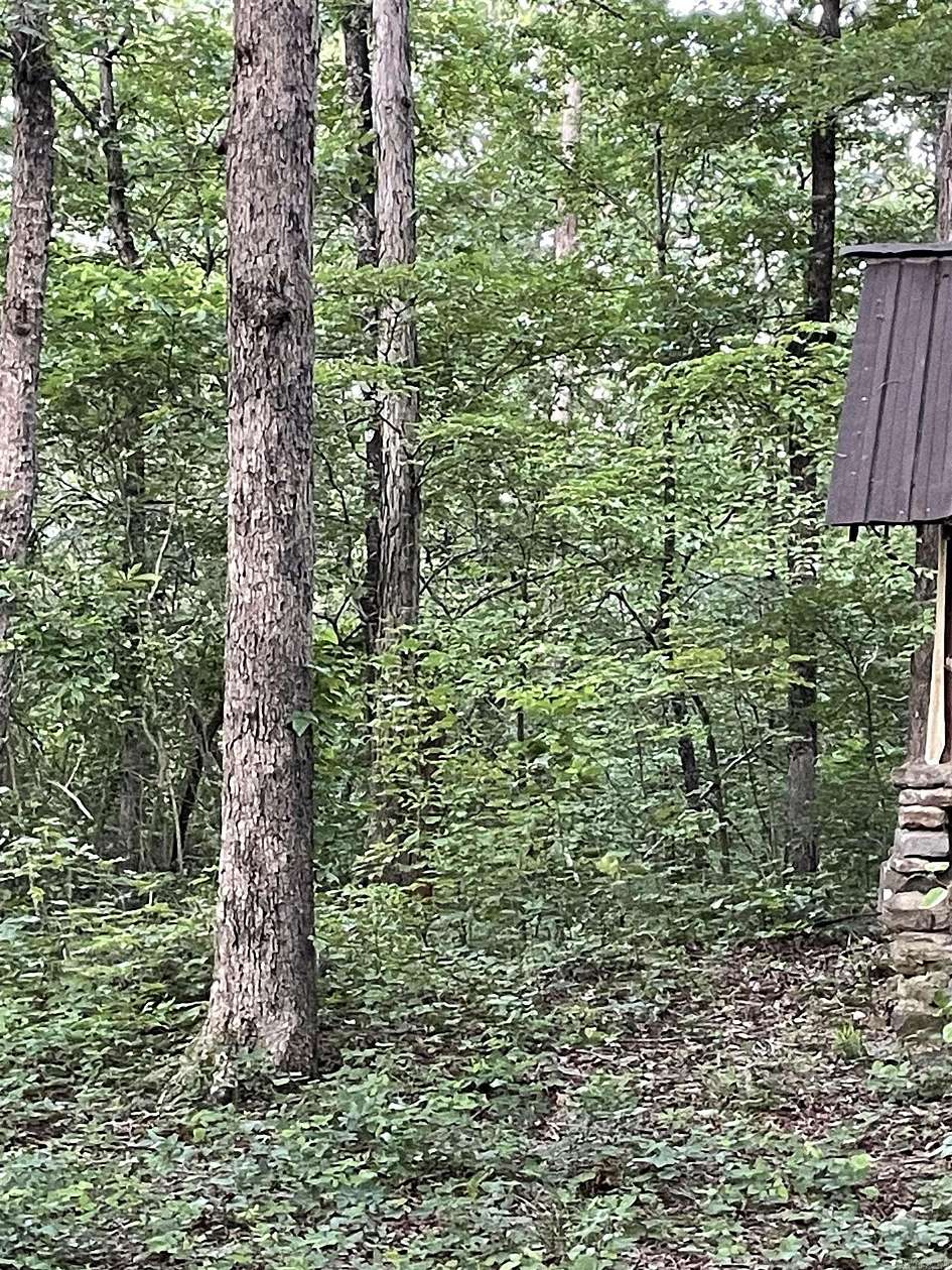 10 Acres of Land for Sale in Clinton, Arkansas