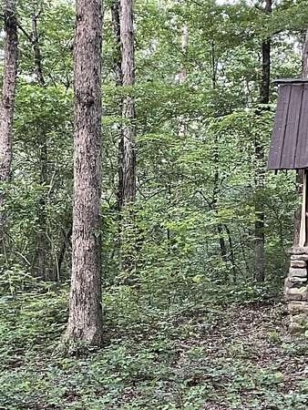 10 Acres of Land for Sale in Clinton, Arkansas