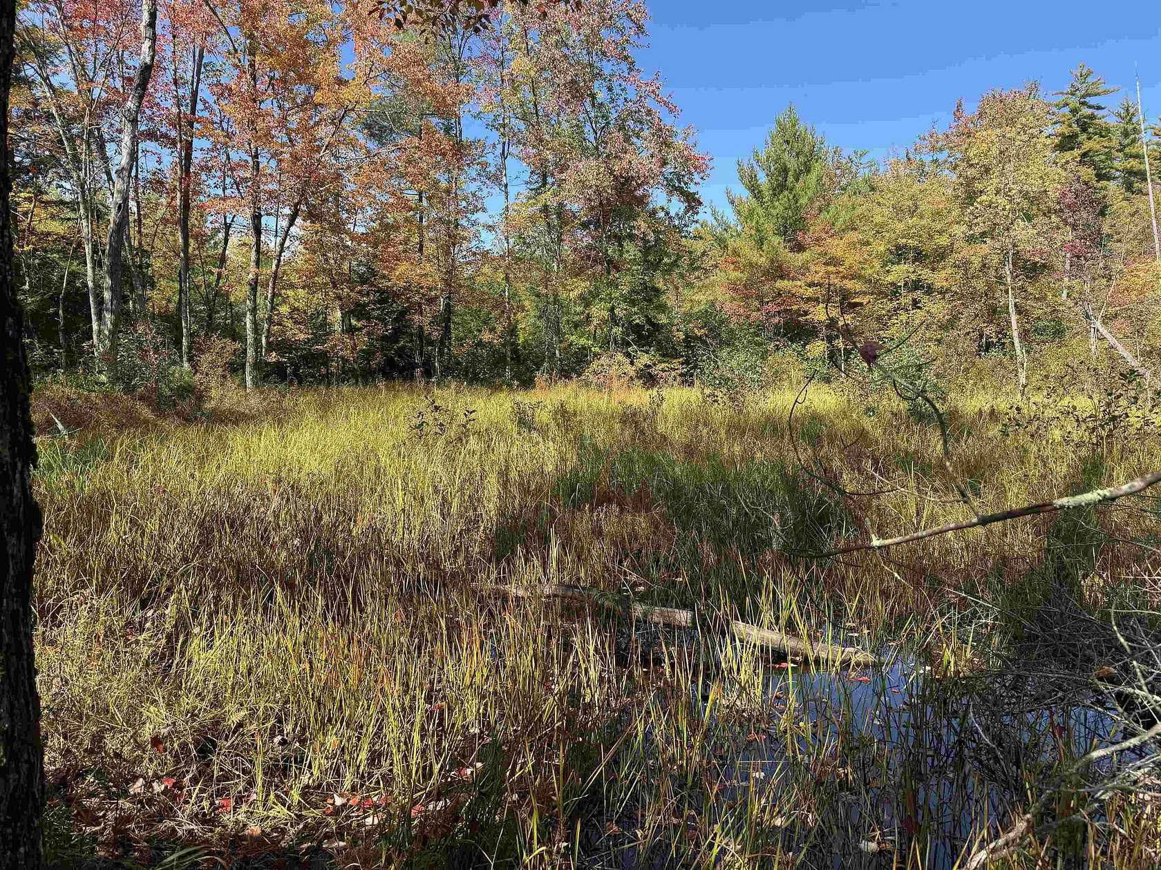 53.2 Acres of Recreational Land for Sale in Effingham, New Hampshire