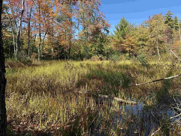 53.2 Acres of Recreational Land for Sale in Effingham, New Hampshire
