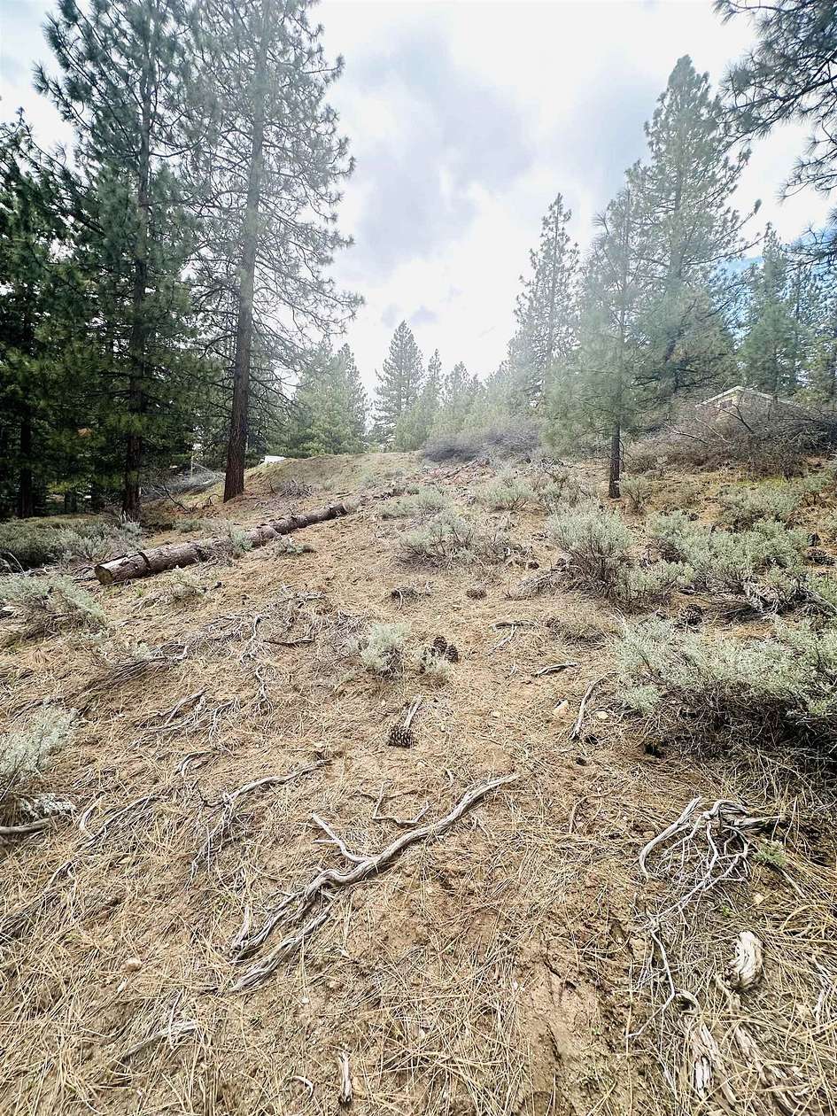 0.29 Acres of Residential Land for Sale in Portola, California