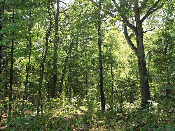0.35 Acres of Residential Land for Sale in Horseshoe Bend, Arkansas