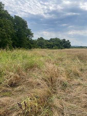 10.1 Acres of Land for Sale in Goshen, Arkansas