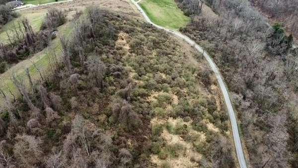 4.88 Acres of Residential Land for Sale in Triadelphia, West Virginia