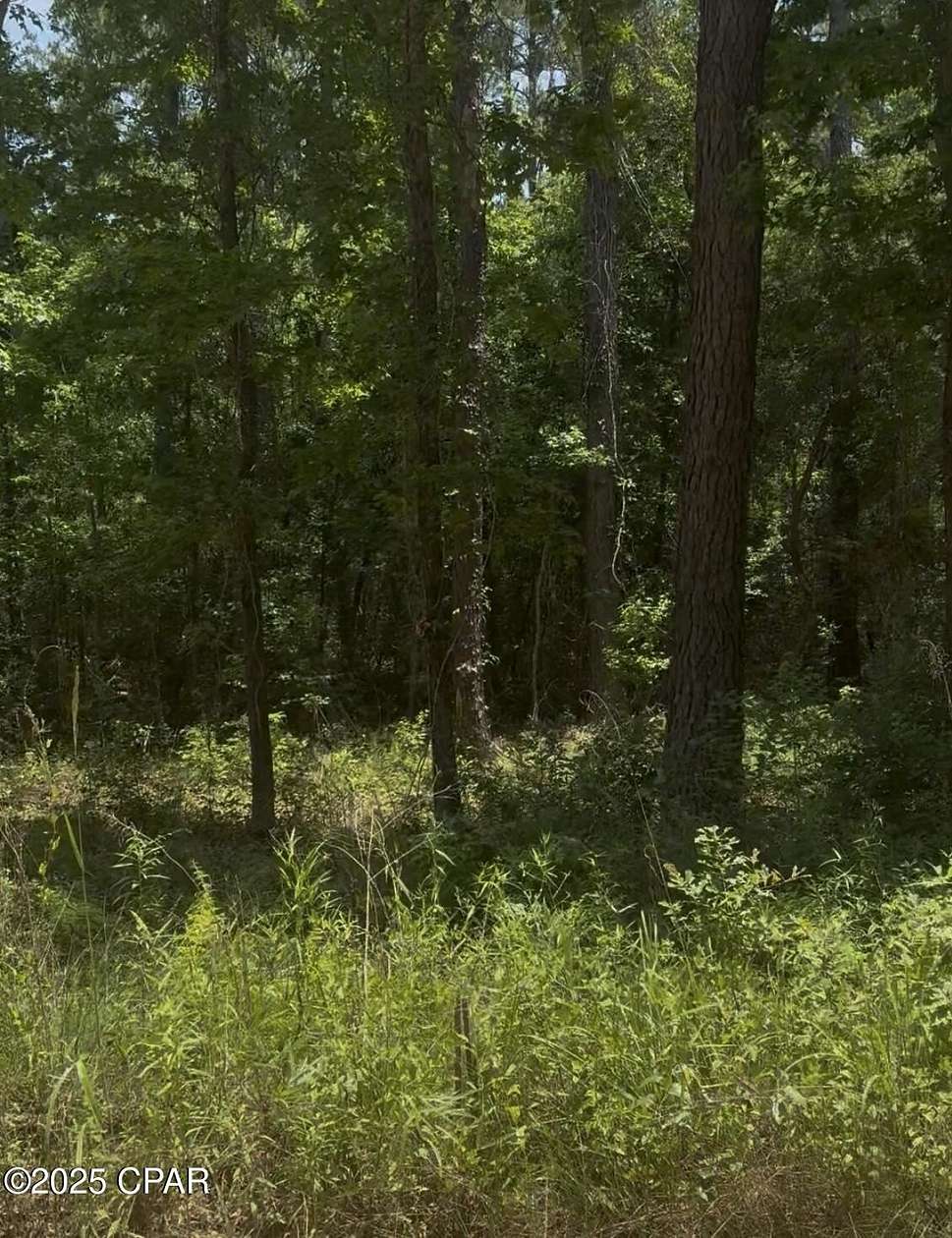 15.2 Acres of Recreational Land for Sale in Chipley, Florida