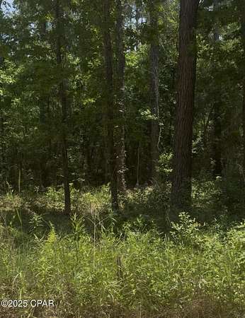 15.2 Acres of Recreational Land for Sale in Chipley, Florida