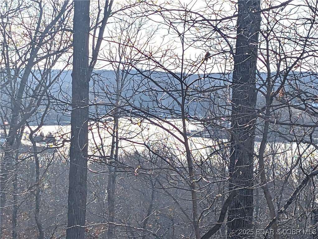 9.65 Acres of Residential Land for Sale in Gravois Mills, Missouri