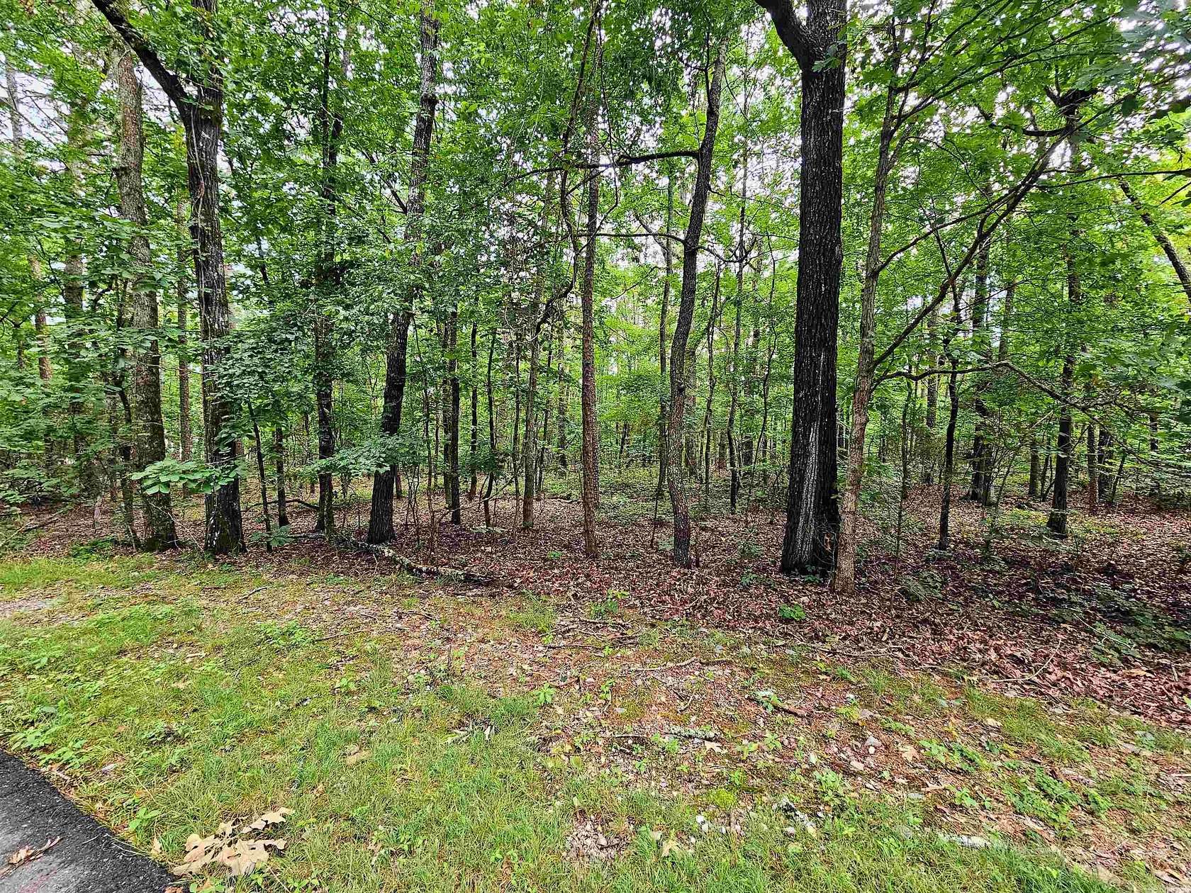 0.22 Acres of Residential Land for Sale in Hot Springs Village, Arkansas