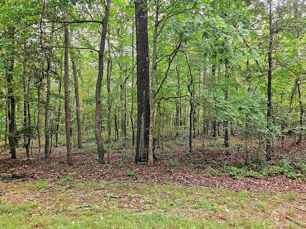 0.24 Acres of Residential Land for Sale in Hot Springs Village, Arkansas