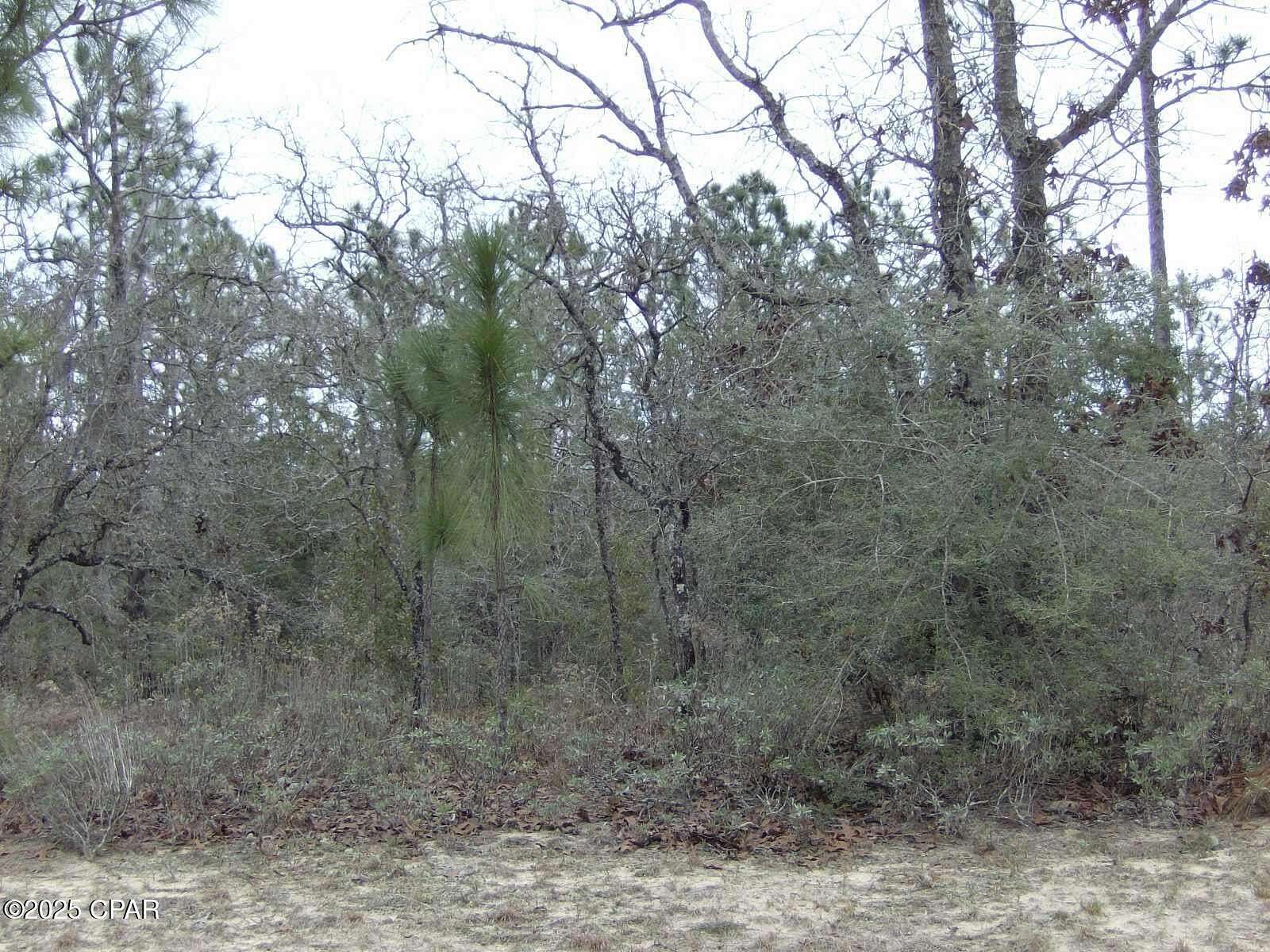 80 Acres of Land for Sale in Chipley, Florida