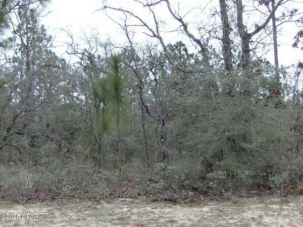 80 Acres of Land for Sale in Chipley, Florida
