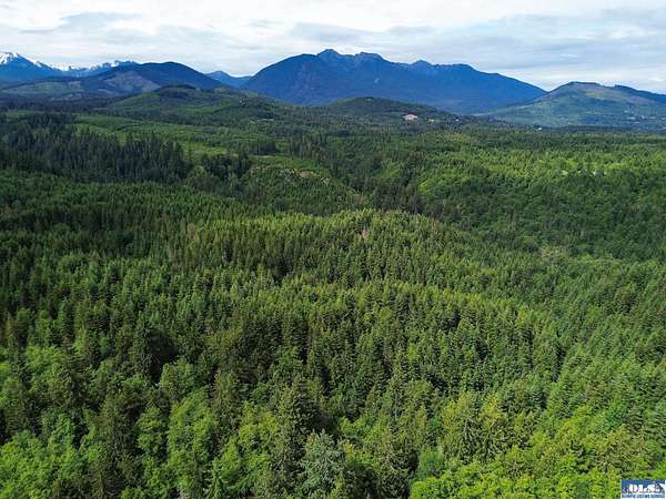 82.4 Acres of Recreational Land for Sale in Port Angeles, Washington