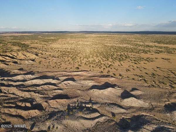 38.8 Acres of Recreational Land for Sale in St. Johns, Arizona