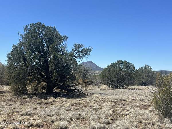 20 Acres of Recreational Land for Sale in Ash Fork, Arizona