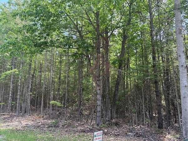 0.98 Acres of Land for Sale in Presque Isle, Michigan